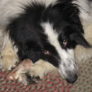 Dobbs was adopted in July, 2009